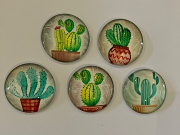 Glas Cabochons 30 mm 5 stuks cactus (2)