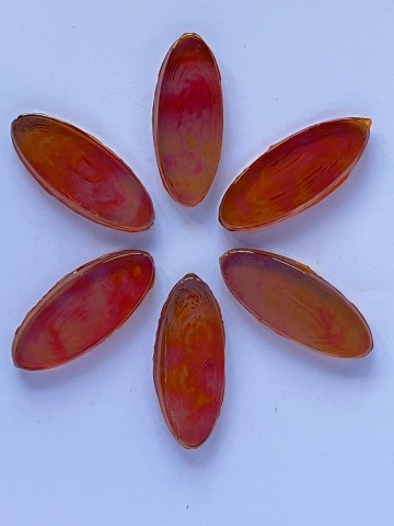 Ellips oranje parelmoer