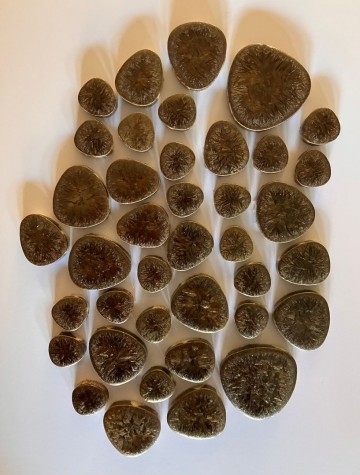 Pebble set donkerbruin brons