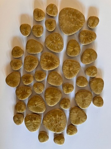 Pebble set goud bruin