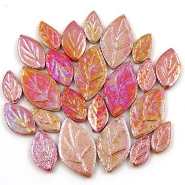 Keramiek Blaadjes Parelmoer 50 gram Rood-Oranje-Geel tinten