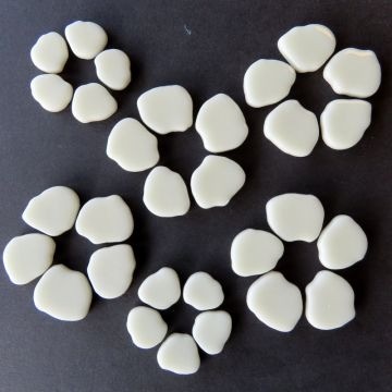 Glas Blaadjes Sakura 50 gram Ivoor Bis 98