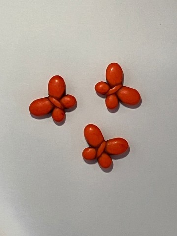 Vlindertjes klein oranje