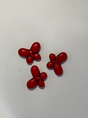 Vlindertjes klein rood