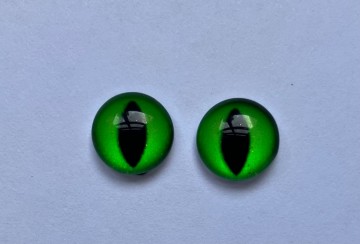 Whatsapp image 2026 03 14 at 131731 1