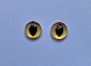 Whatsapp image 2026 03 14 at 131731 3