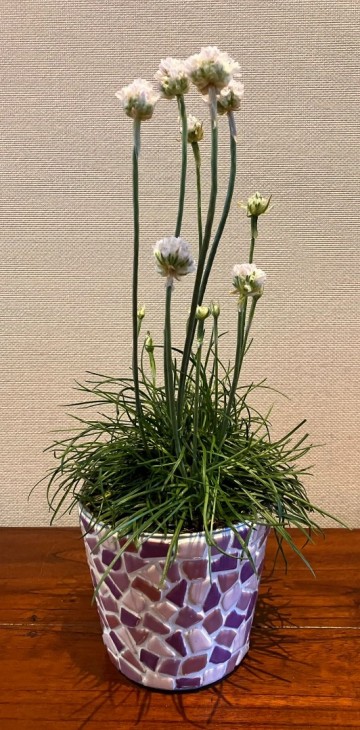 Mozaiekpakket Roze-Paarse Bloempot